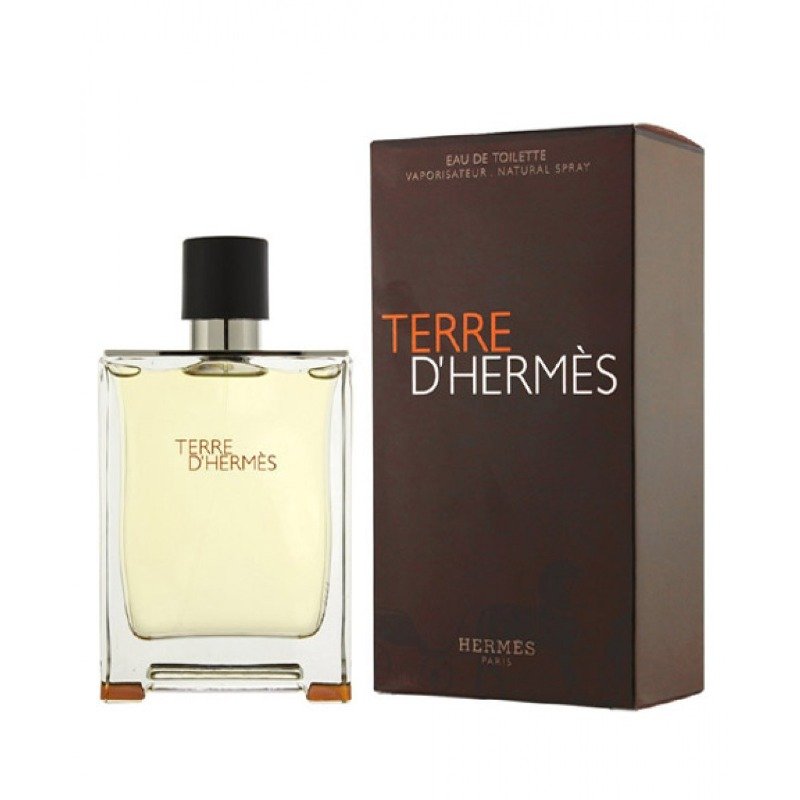 Terre D'Hermes Eau De Toilette 100ml